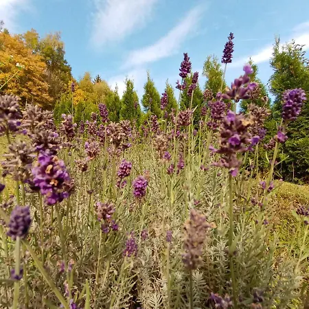Waldner's Hermagor-Pressegger See