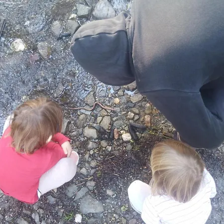 Waldner's Apartament