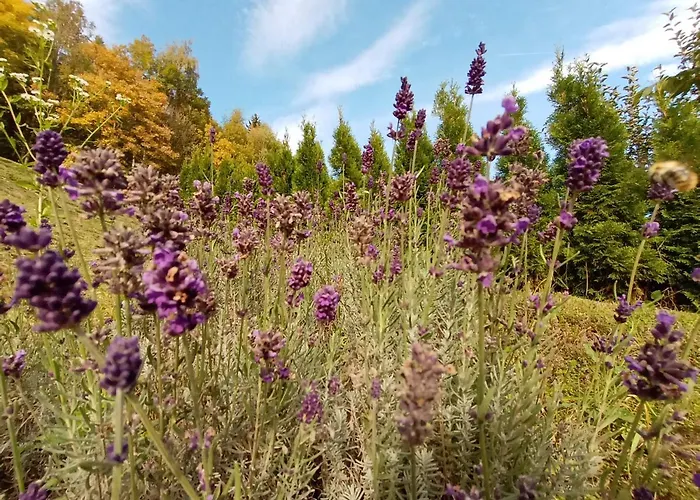 Waldner's Hermagor-Pressegger See