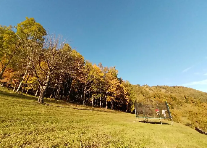 Διαμέρισμα Waldner's