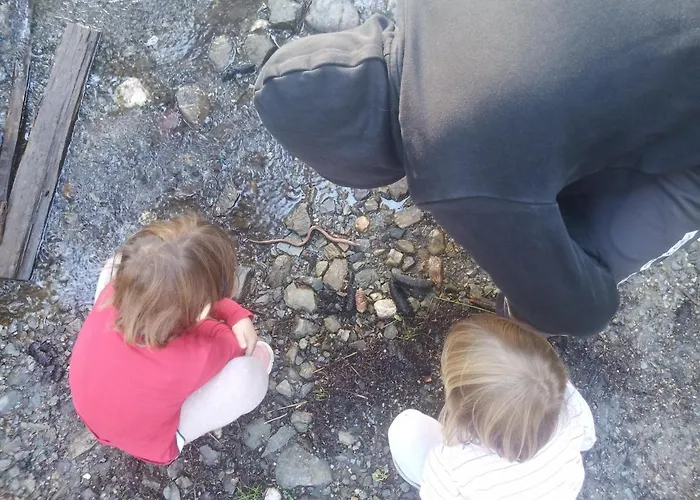 Waldner's Διαμέρισμα